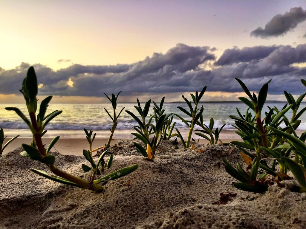 Stradbroke Island Beach Hotel Point Lookout Εξωτερικό φωτογραφία